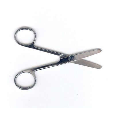 Blunt End Scissors