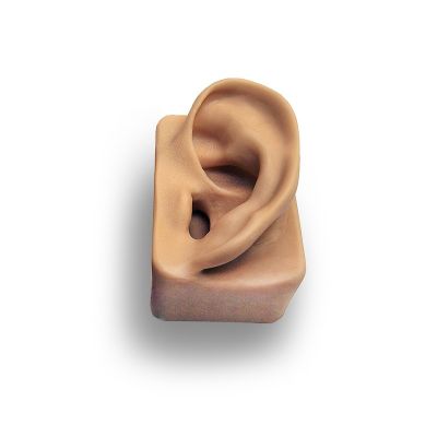 Demonstration Ear, Left Ear, Beige