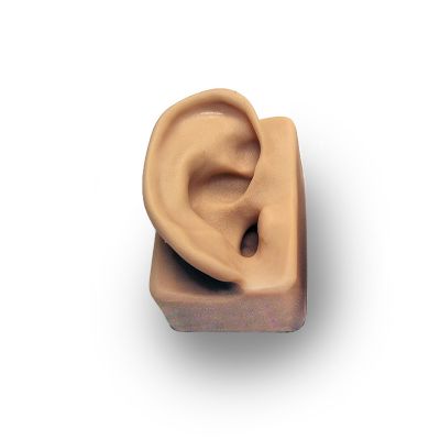 Demonstration Ear