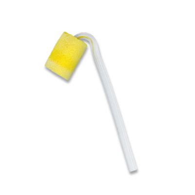 Foam Test Tips on #13 Heavy Wall Tubing, Pack of 24