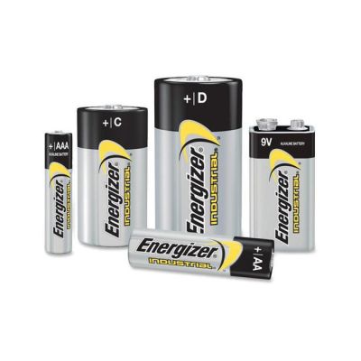 Various sizes of alkaline batteries