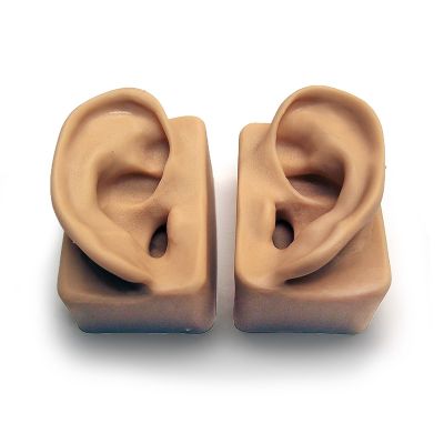 Demonstration Ears