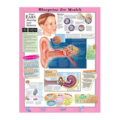 Poster "Your Ears, Hearing and Balance" Laminated